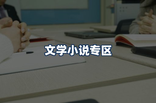 文学小说PDF展示